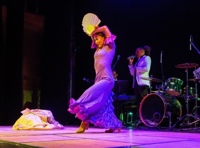 Классика в новом формате. Квартет "Мелодион". "Боккерини & фламенко"