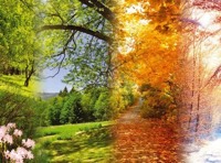 Времена года. Вивальди. Пьяццолла