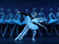 Лебединое озеро