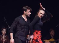 Ночь Фламенко. Зажигательная испанская фиеста