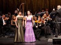 Новогодний бал Иоганна Штрауса