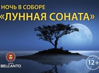 "Ночь в Соборе" "Лунная соната"