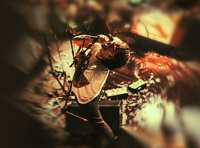 Психея. 15 лет альбому «Каждую секунду пространства»