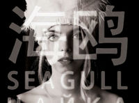海鸥 Seagull Чайка