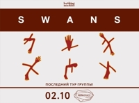 Swans
