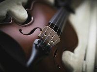 Знакомство с музыкальными инструментами