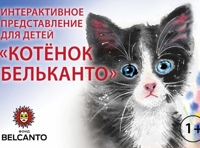 Интерактивное представление для детей "Котенок Бельканто"